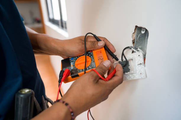 Best Ceiling Fan Installation Electrician  in Staples, MN